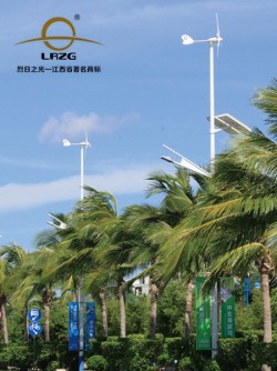 江西烈日之光新能源有限公司-